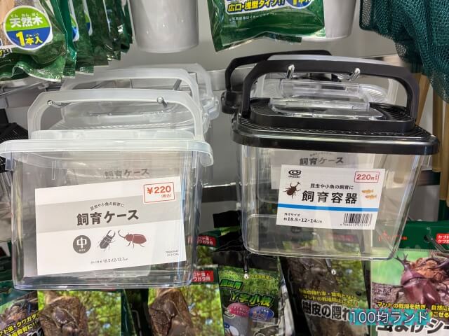 100均キャンドゥの夏グッズ「昆虫飼育セット」飼育セット